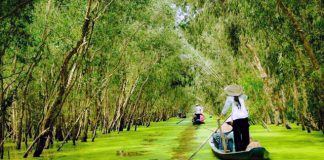 Khám phá vẻ đẹp tự nhiên tuyệt vời tại Rừng Tràm Trà Sư