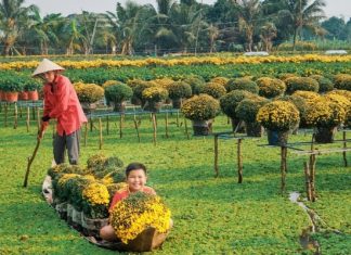 Cẩm nang du lịch: ăn gì, chơi gì, ở đâu Đồng Tháp Cẩm nang du lịch: ăn gì, chơi gì, ở đâu Đồng Tháp
